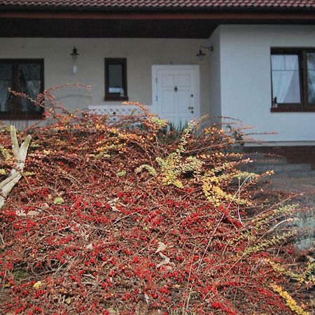 Pokoje Nad Mlynem สตรีกูฟ ภายนอก รูปภาพ